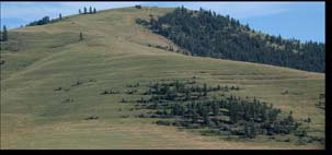 Lake Missoula Strandlines Mission Valley