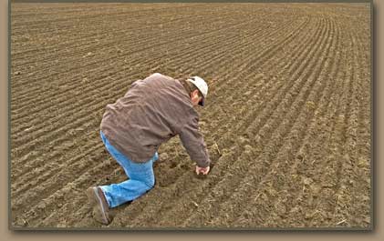 Respected Columbia Basin fieldman Dave Entel inspects seed placement in Pasco Basin field.