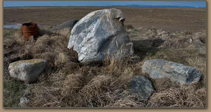 Ice Age Floods erratics removed from field.