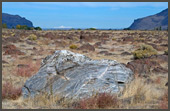 Sentinel Gap Erratic