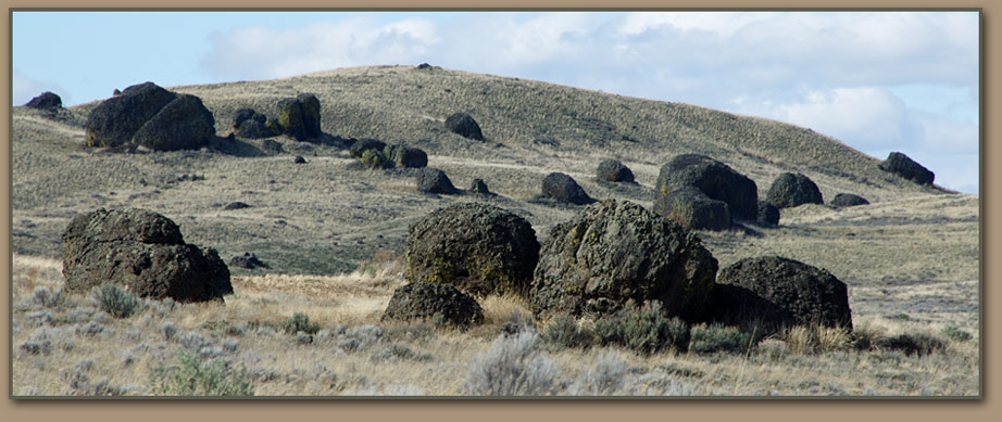 Huge basalt boulders scattered over the Waterville Plateau.