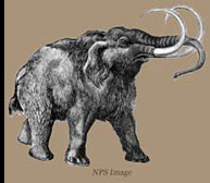 Pleistocen Mammoth.