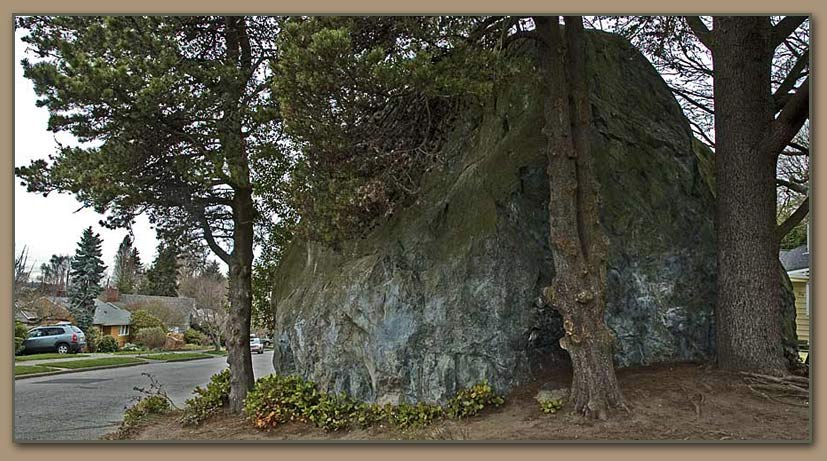 Wedgewood Erratic, Glacial Erratic Seattle, WA.