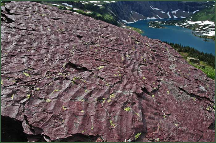 Belt Rock Ripples Logan Pass Hidden Lake