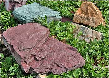 Logan Pass belt rocks geology