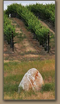 Ice Age Floods erratic boulder moved to allow planting of vineyard.